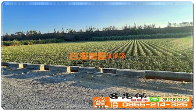 東勢鄉農地-5