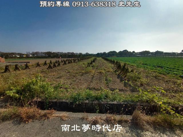 善化農地-5