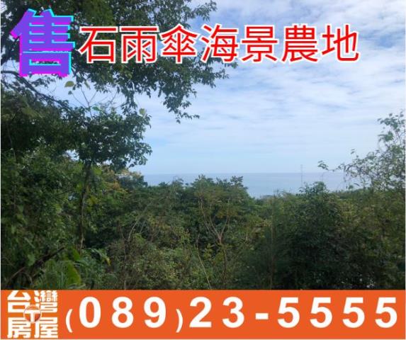 石雨傘海景農地