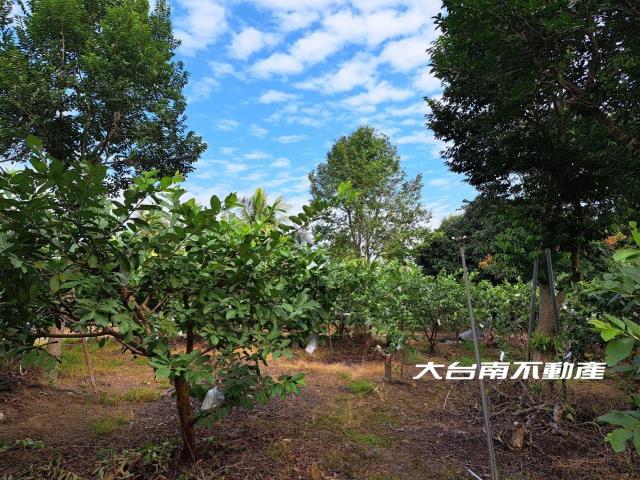 台南農地-13