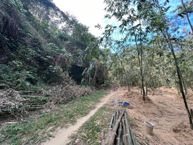 台南左鎮農地-5