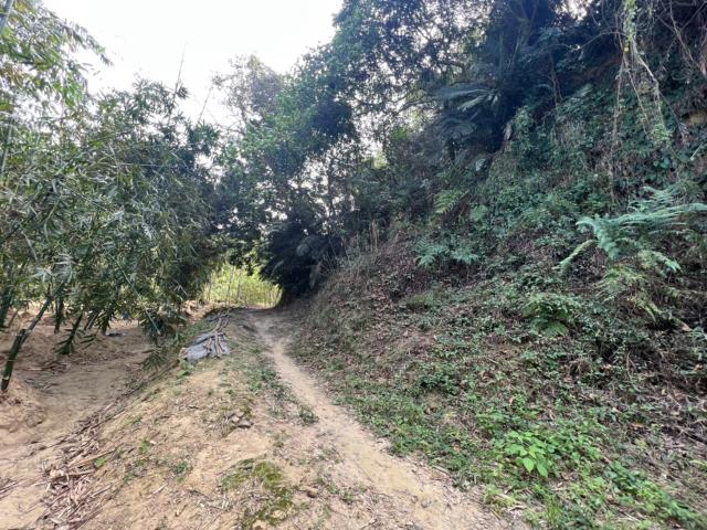 台南左鎮農地-6