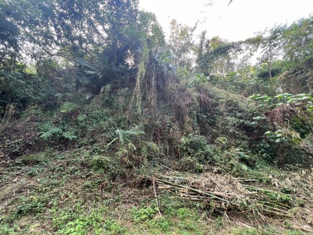 台南左鎮農地-7