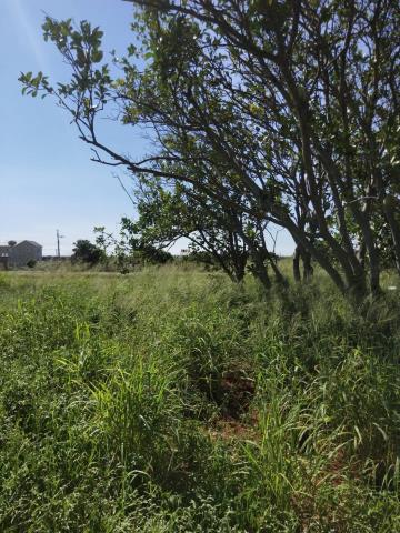 桃園新屋農地-2