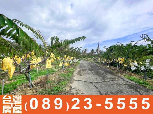 台東農地買賣