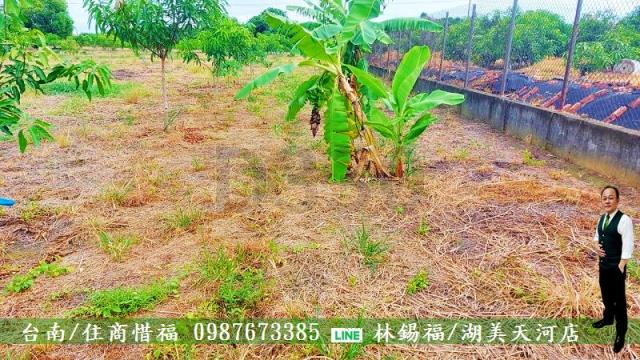 仁德農地-7
