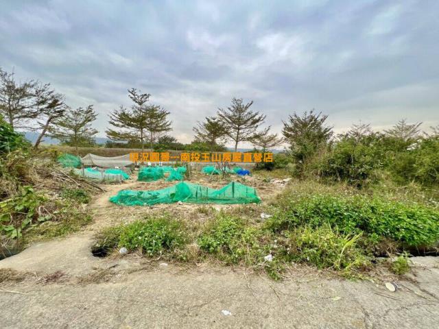 南投草屯農地-6