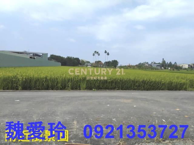 草屯農地-3