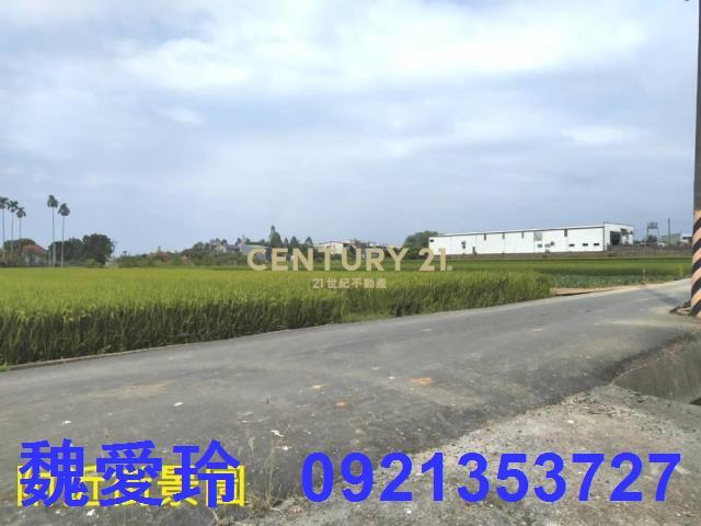 草屯農地-6