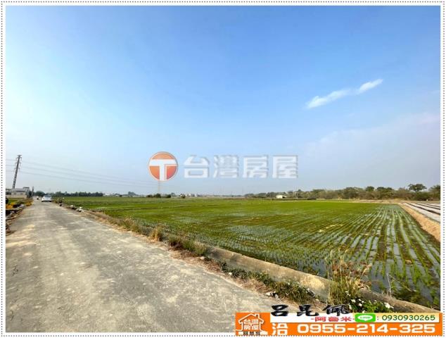 白河農地-6