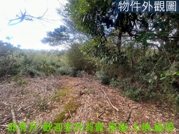 三芝農地-2