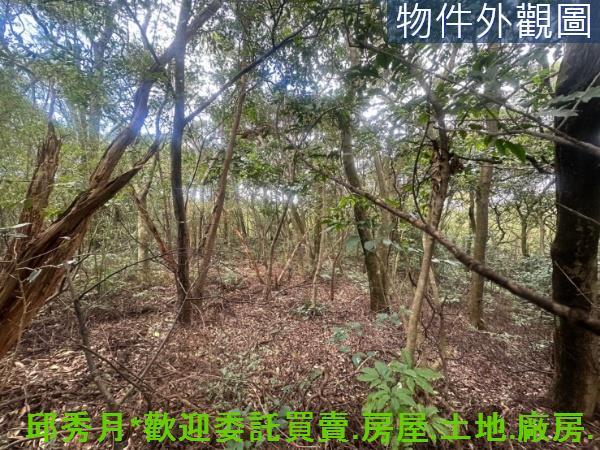 三芝農地-3