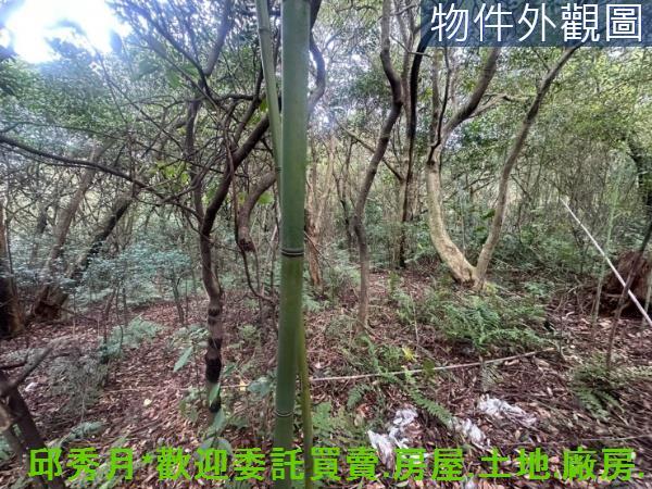 三芝農地-5