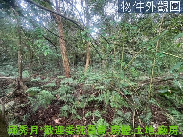 三芝農地-6