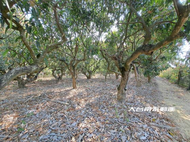 台南官田農地-8