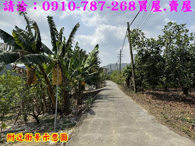 楠西農地-12