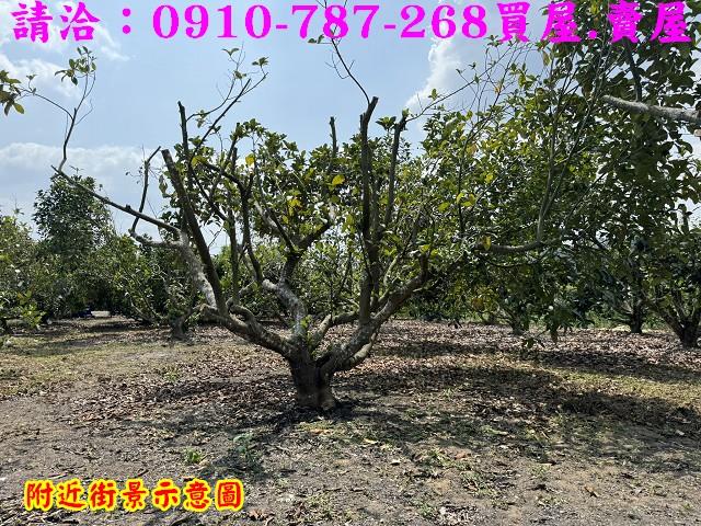 楠西農地-14
