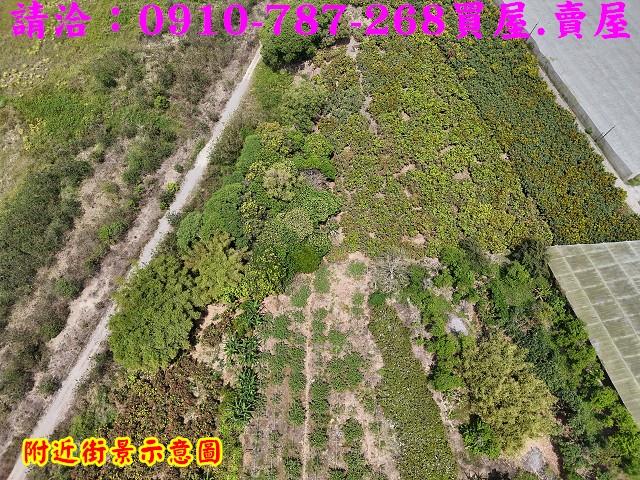楠西農地-6