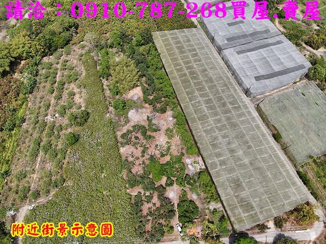楠西農地-9