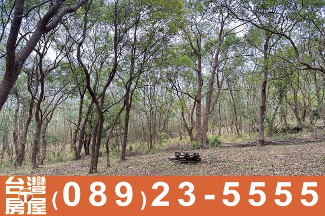 台東卑南農地-7