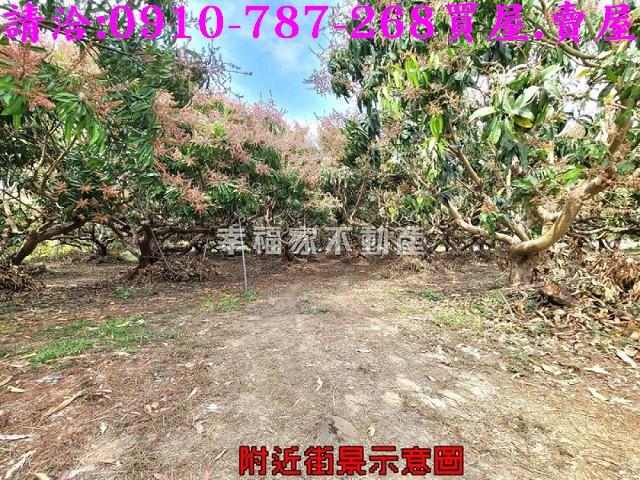 台南玉井農地-8