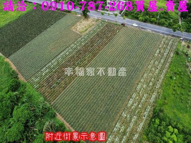 台南山上農地-2