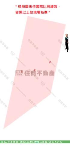 西港農地-15