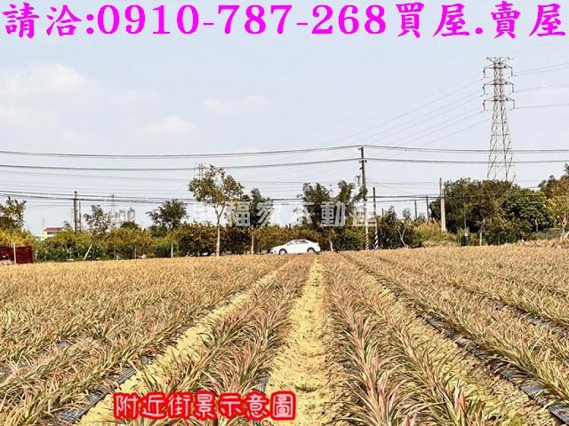 山上農地-9