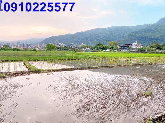 宜蘭礁溪農地-5