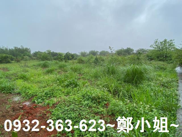 平鎮農地-2
