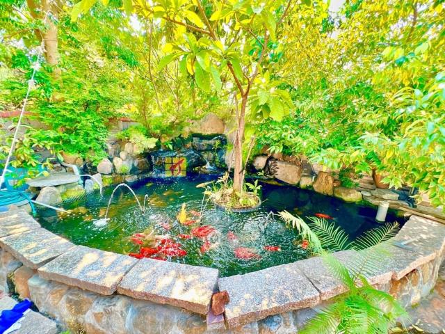 台中大雅農地-3