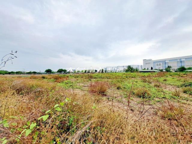 台南新市農地-3
