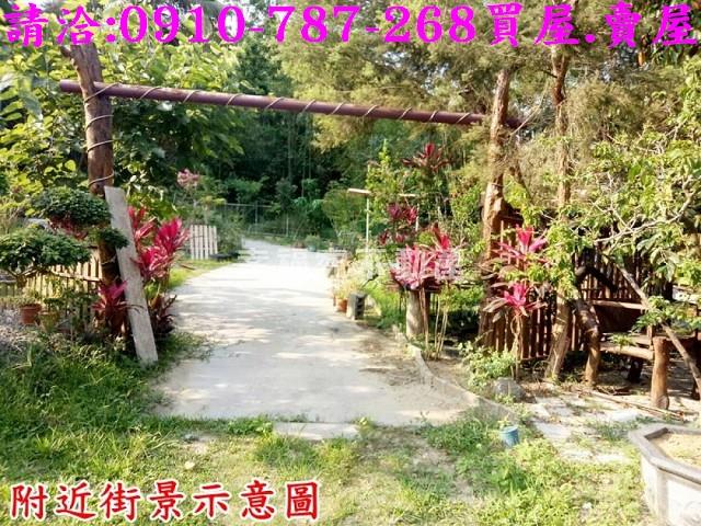 台南林地-15