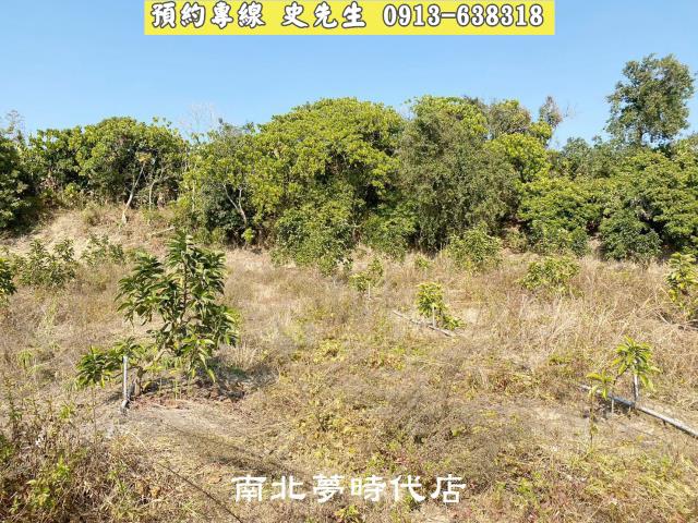 台南農地-3