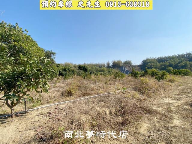 台南農地-5