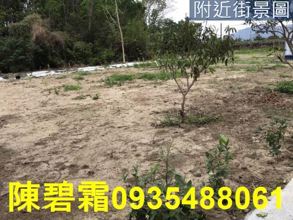 楠西農地-6