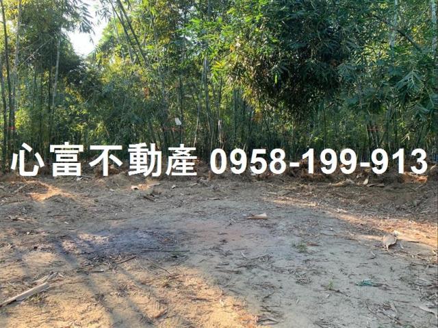 高雄仁武農地-2