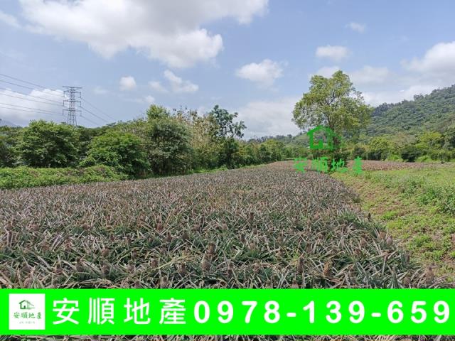 鹿野農地-1