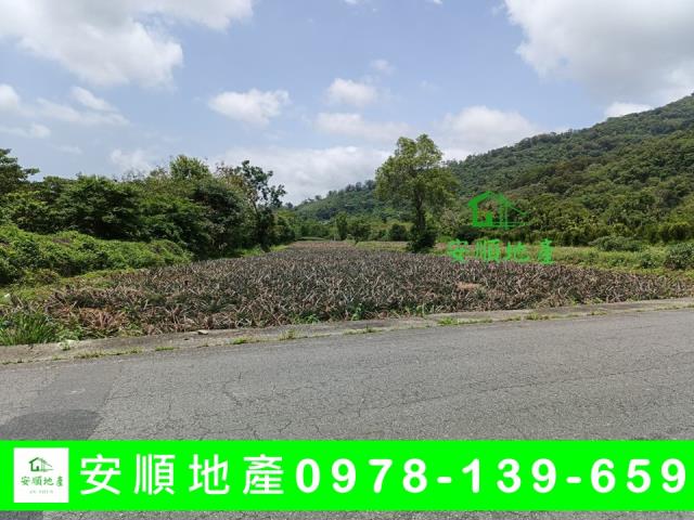鹿野農地-4