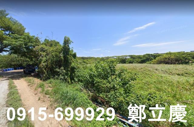 楊梅農地-1