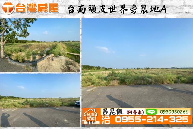 鹽水農地-1