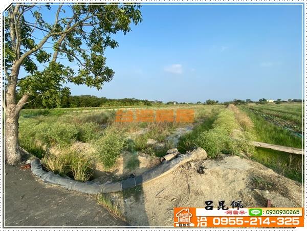 鹽水農地-3