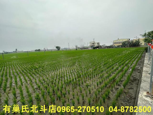 埔鹽農地-1