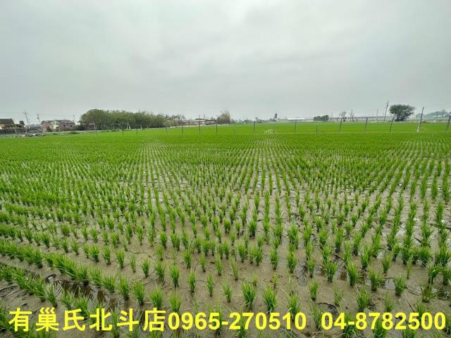 埔鹽農地-2