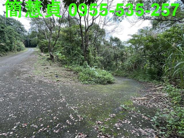 鹿谷農地-4