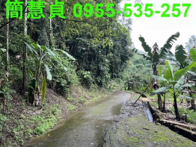 鹿谷農地-5