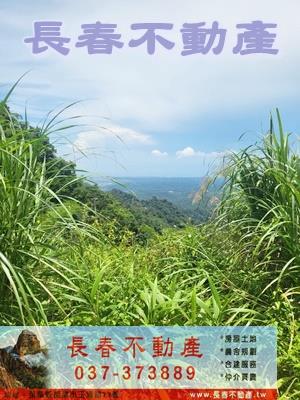 苗栗農地-2