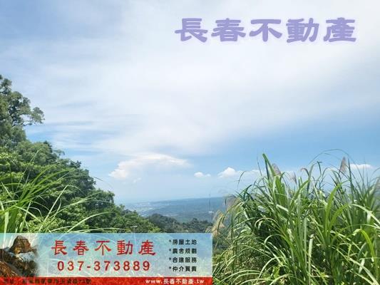 苗栗農地-1