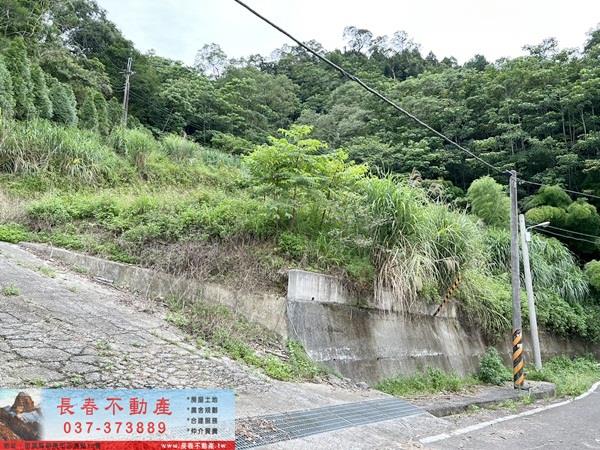 苗栗農地-3