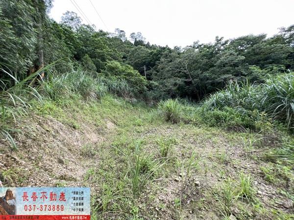 苗栗農地-9